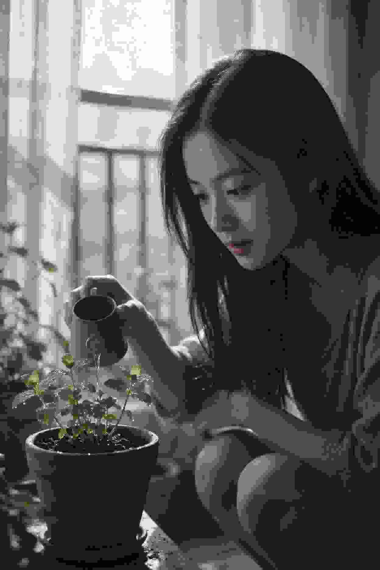 元春的抉择
